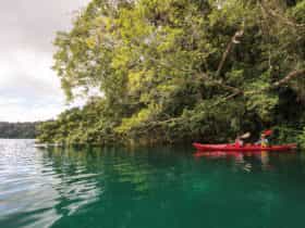 Two kayakers paddling on Lake Barrine