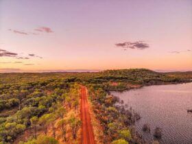 Tranquil Lake Belmore - Dam side