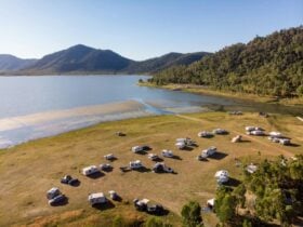 Camper vans parked at the shores of Lake Proserpine with mountains in the background