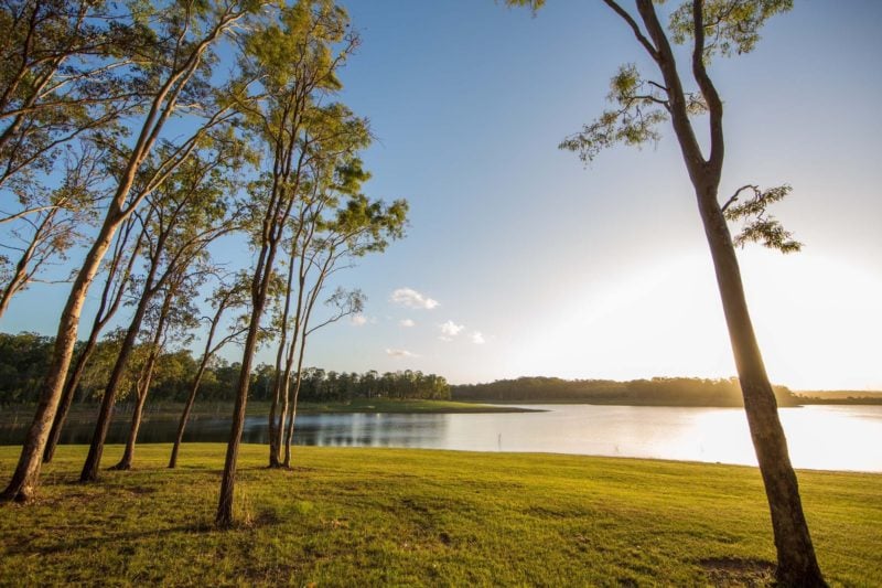 Sun rising above a bank of trees lining a peaceful lake