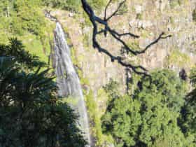 Waterfall, Green Mountains, Lamington National Park