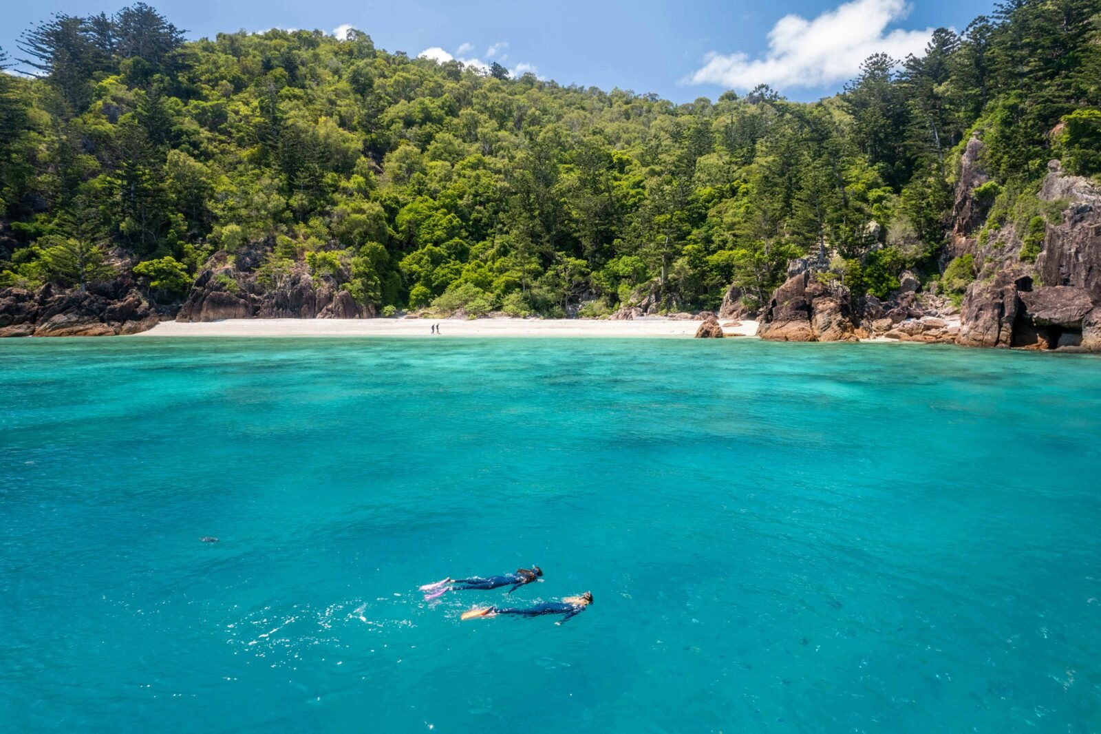 Snorkelling the Whitsunday Islands