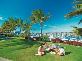 marina picnic people on grass