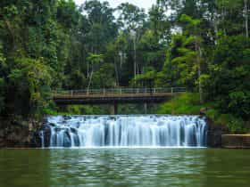 Malanda Falls