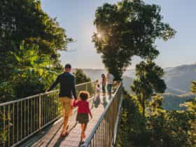 Mamu Tropical Skywalk