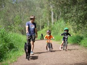 a man is walking his dog along the trail. Two young boys are riding BMX bikes next to the man.