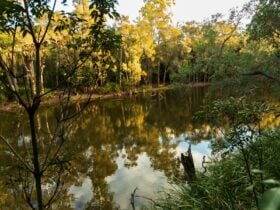 Meadowvale Nature Park