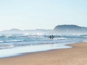 Surfers at Mermaid Beach