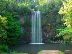Millaa Millaa, Atherton Tablelands