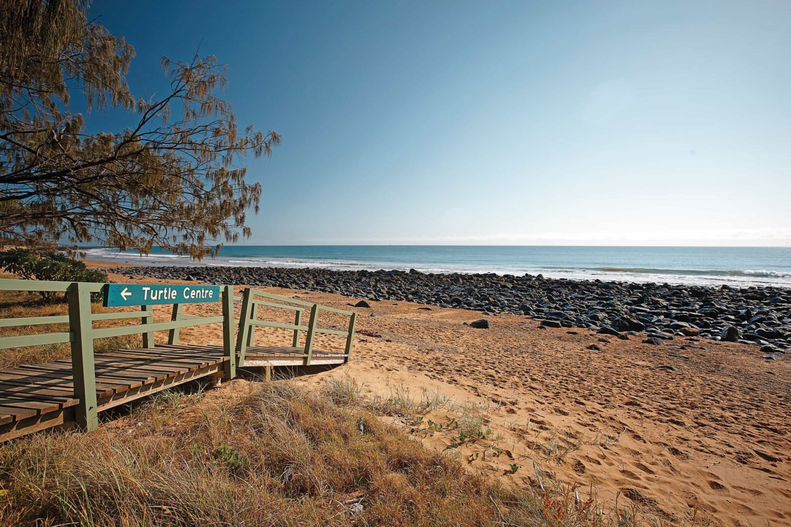 Mon Repos Beach