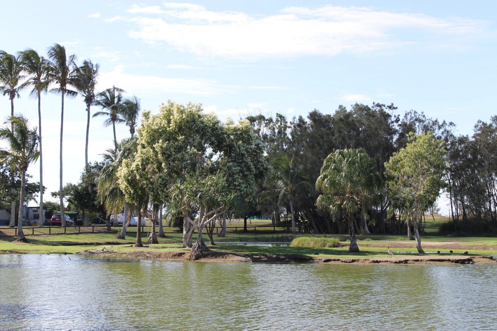 Moore Park Wetlands