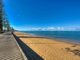 The Moreton Bay Cycleway at Margate Beach, Redcliffe