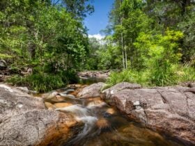 Mothar Mountain Rockpools