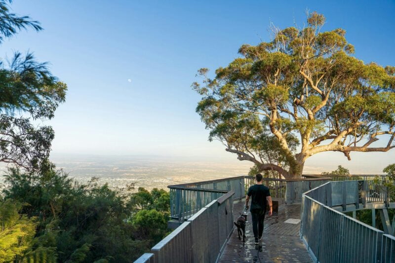 A young man and his pet dog walking along a board walk.