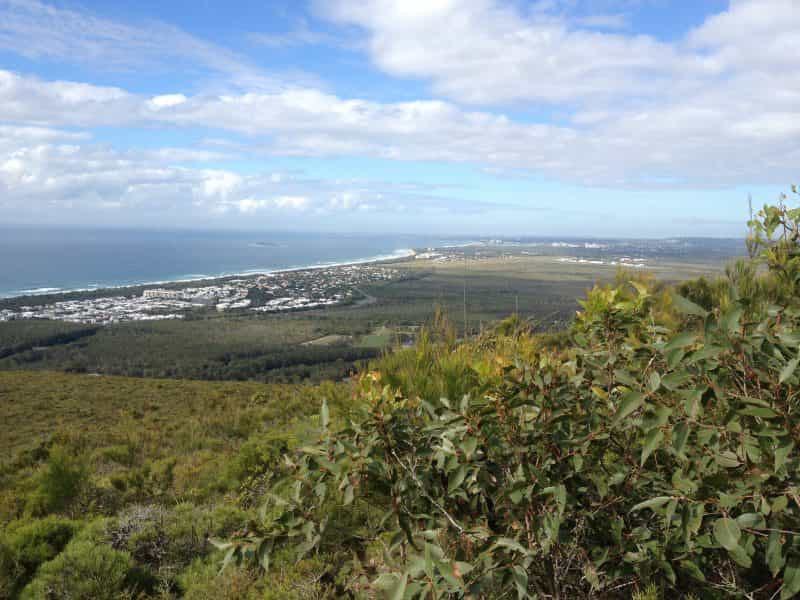 View over coastal plain from vantage point on hill with ocean in the distance.