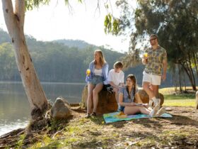Young travellers enjoying a picnic at No 7 Dam, Mount Morgan.