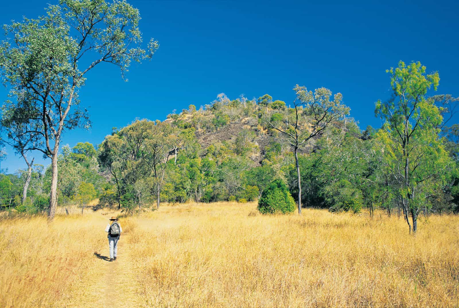 Man walking towards Mount Scoria in background.