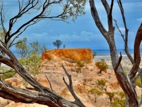 Mount Slowcombe, Yaraka