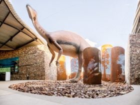 Replica of the Muttaburrasaurus Langdoni