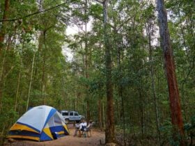Neurum Creek Camping sites