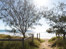 Nielson Park