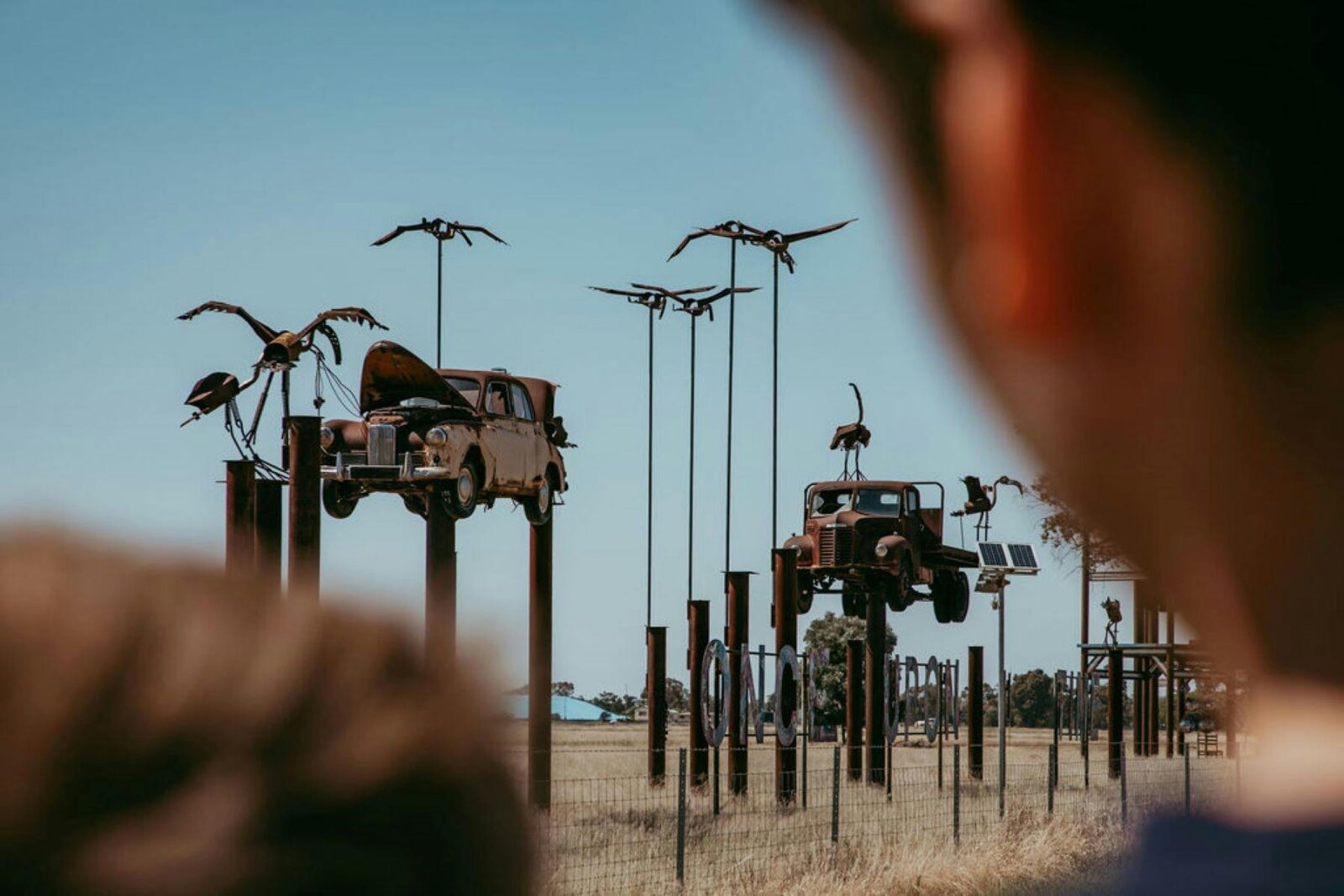 Scupltures at Nungwai, Goondiwindi