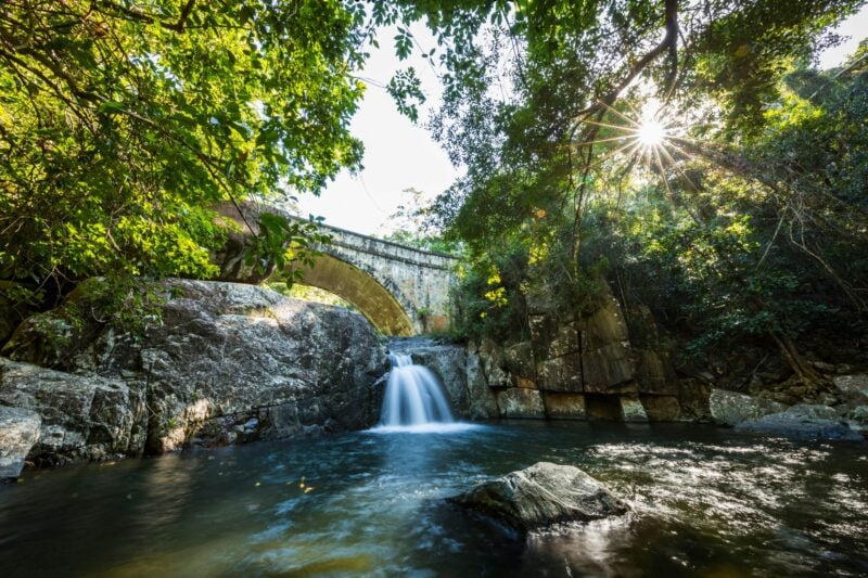 Paluma and Crystal Creek Rainforest
