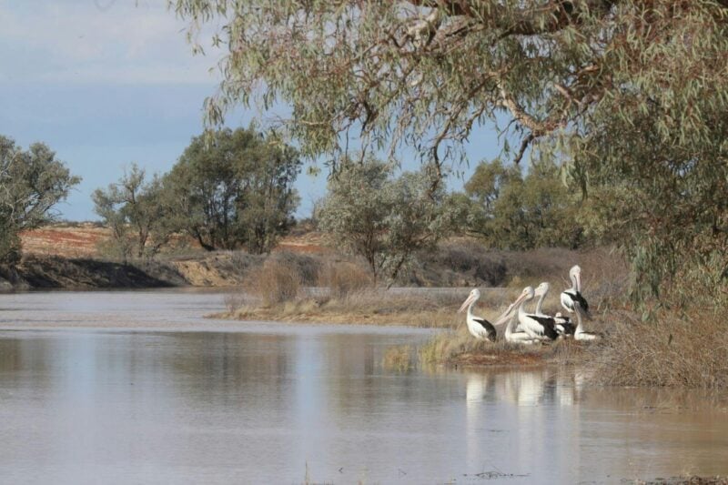 Public Swimming Area