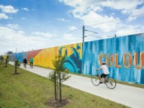 Art works lining the pathways of the Petrie to Kippa-Ring Shared Pathway