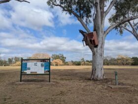 Piano in a Tree - Clermont