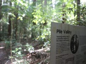photo showing interpretive sign with information about timber uses for satinay wood.