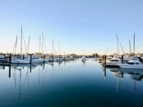 Marina berths