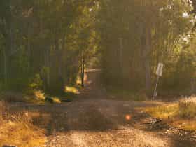 Raysource Road