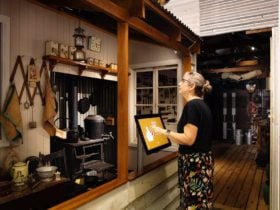 Lady looking at an exhibition display