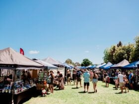 Market Day
