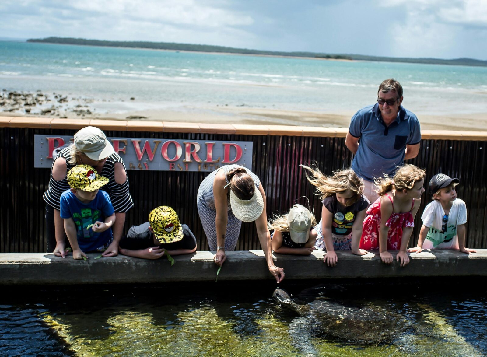 photo showing people feeding a turtle at Reefworld Aquarium