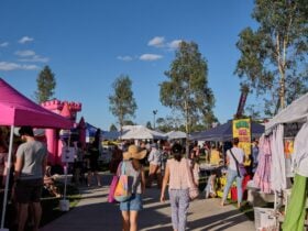 Ripley Markets