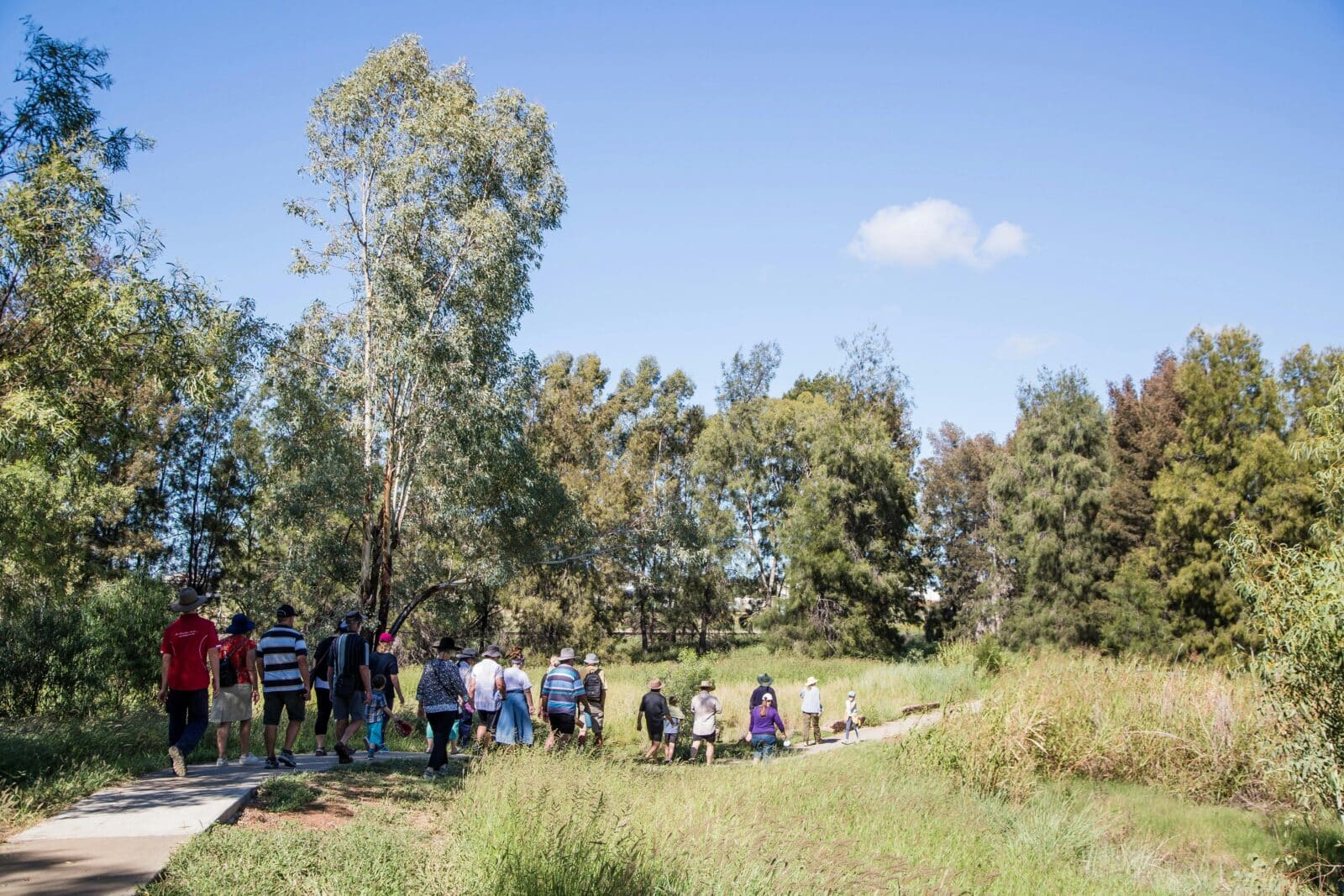 A group of people walking on a cement path through a bush garden