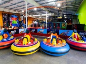 bumper cars sunshine coast