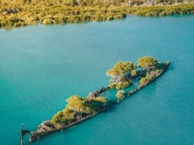 Shipwreck in water
