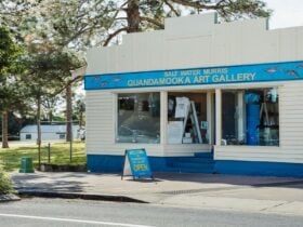 alt Water Murris Quandamooka Art Centre