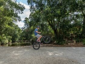 A boy doing a wheelie on his bike on the Samford Valley Rail Trail