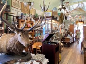 Scotland Yard Antiques, Ipswich