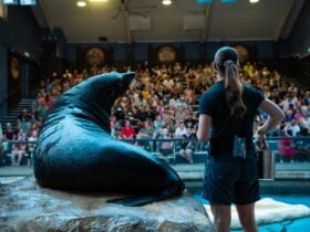 Seal Presentation at Seal Island