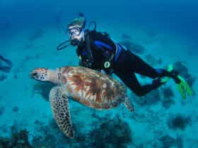 Second Reef