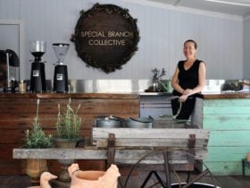 Special Branch Collective | Marburg, Ipswich