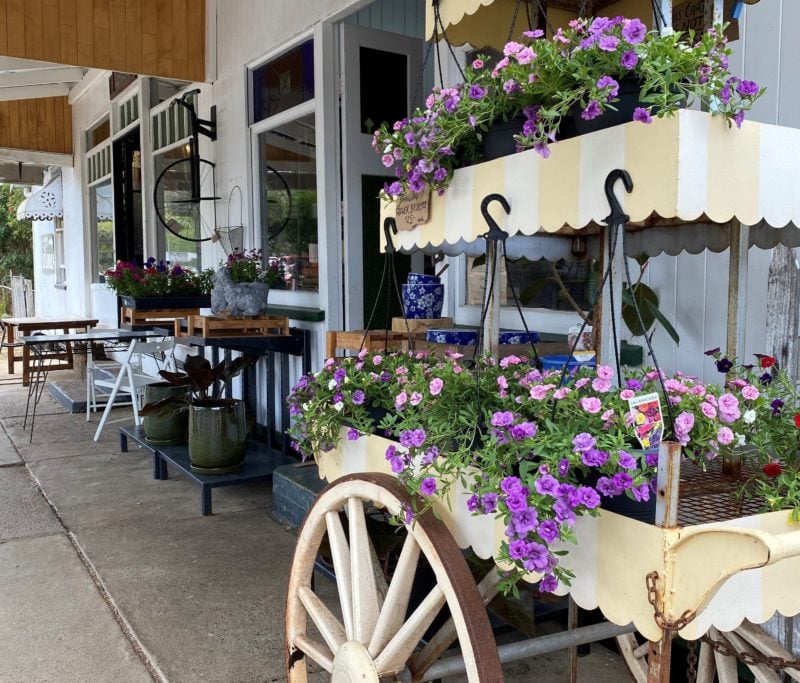 Special Branch Collective