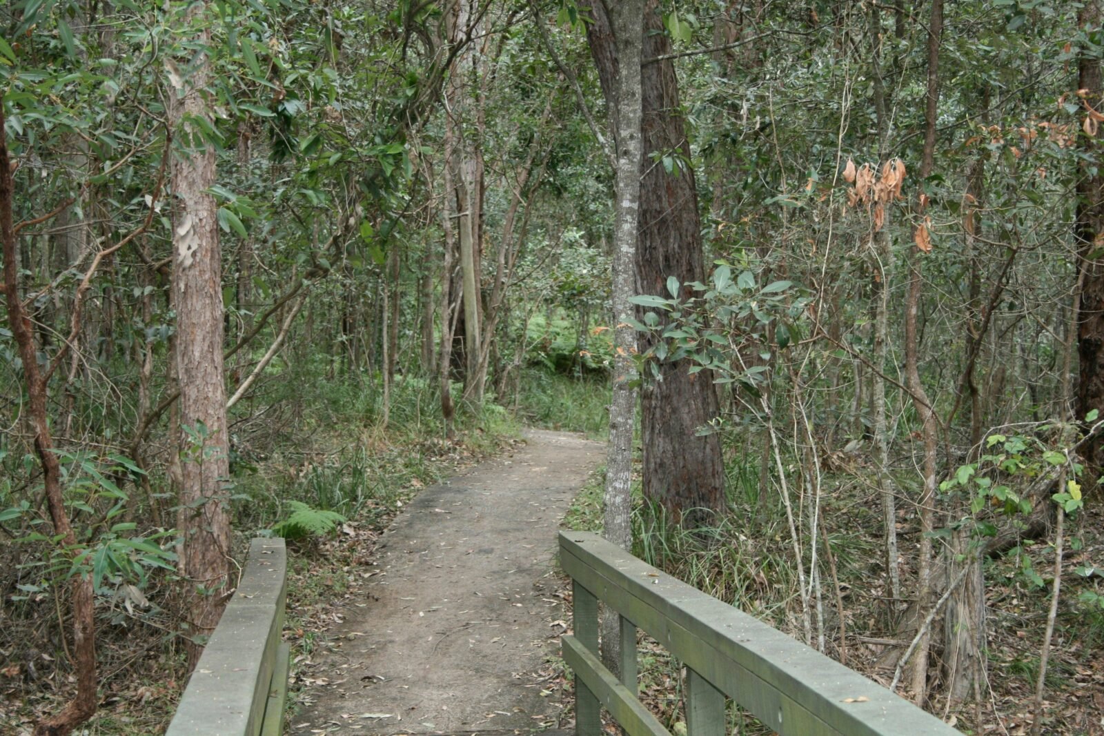 Springwood Conservation Park