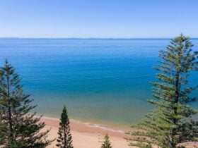 Suttons Beach