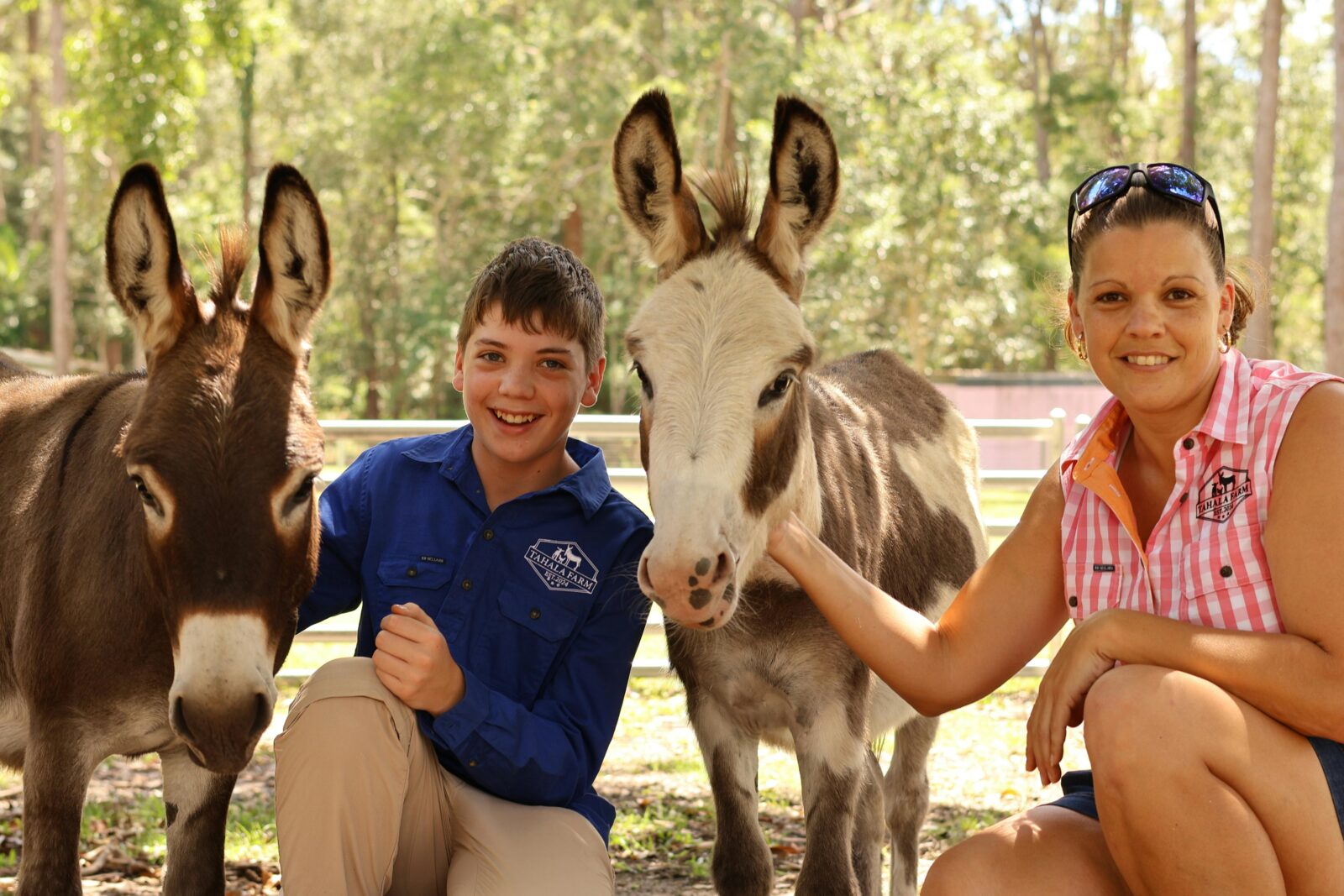 Milo and Mocha are Miniature Donkeys, who love having their photo taken.